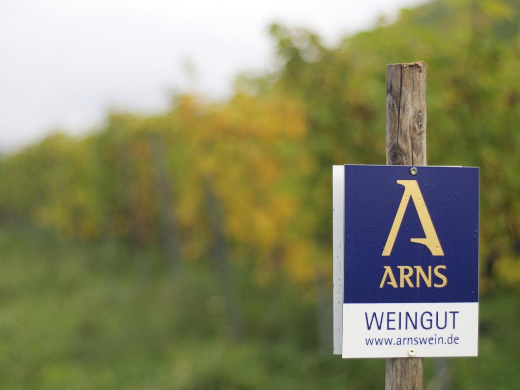 Bed and Breakfast Gastehaus Weingut Arns Reil Exterior foto