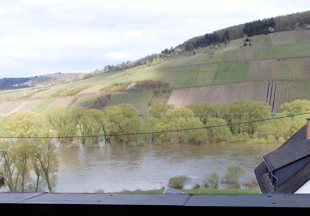 Bed and Breakfast Gastehaus Weingut Arns Reil Exterior foto