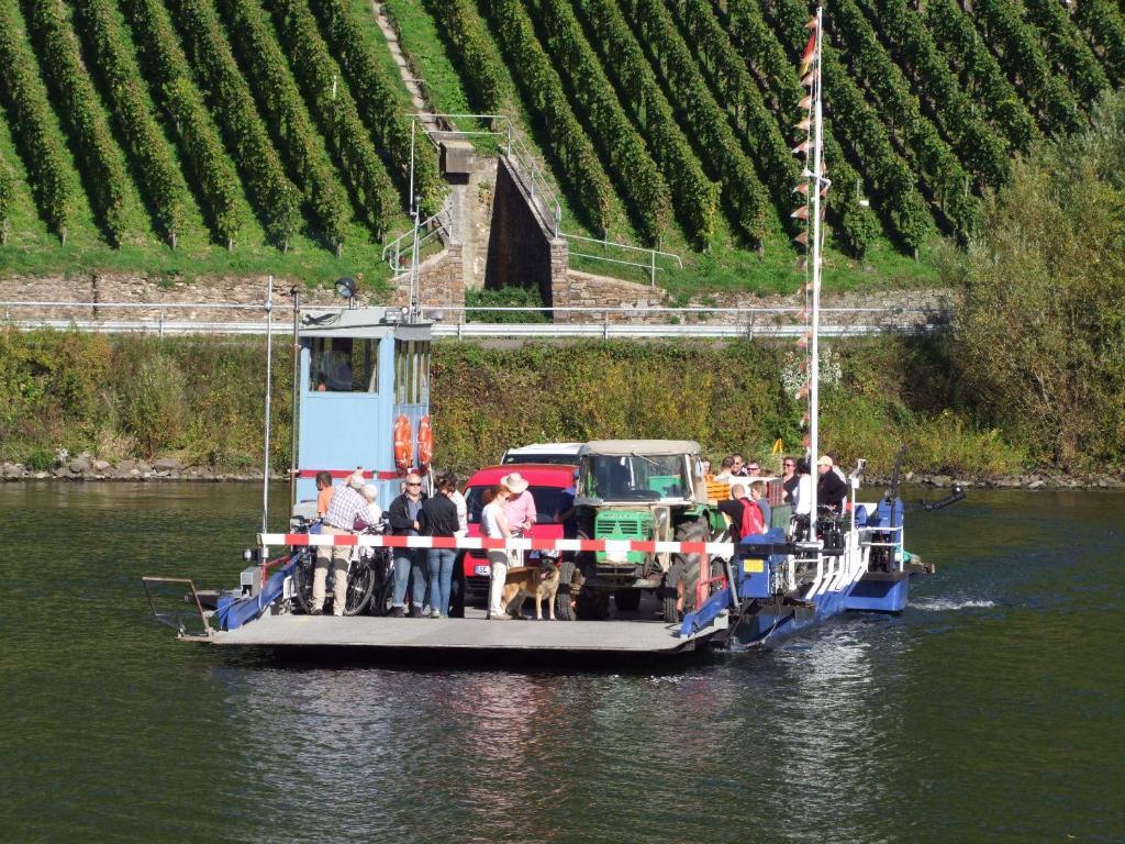 Bed and Breakfast Gastehaus Weingut Arns Reil Exterior foto